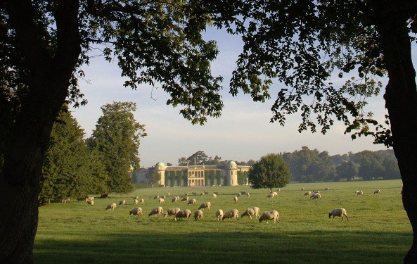 The Goodwood Estate